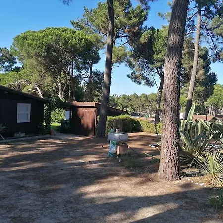 Casa Da Lagoa - House By The Lagoon With Direct Access To The * 세심브라