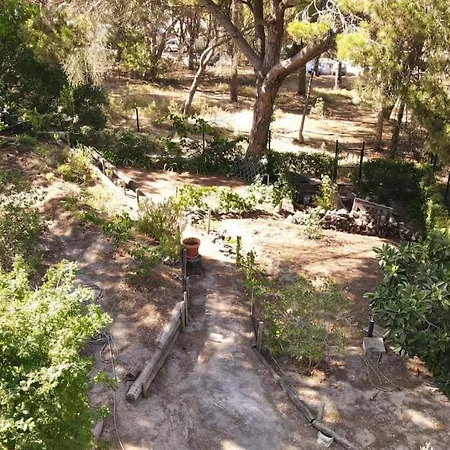 Casa Da Lagoa - House By The Lagoon With Direct Access To The 아파트