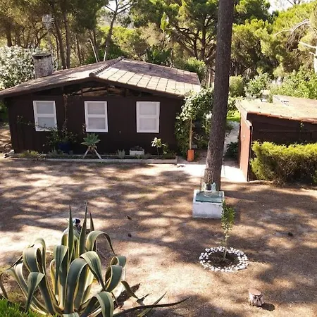 Casa Da Lagoa - House By The Lagoon With Direct Access To The