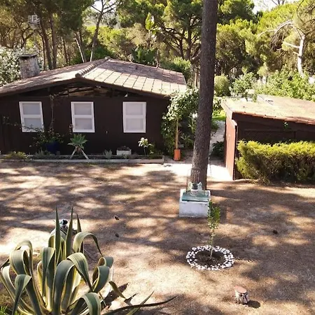 Casa Da Lagoa - House By The Lagoon With Direct Access To The * 세심브라